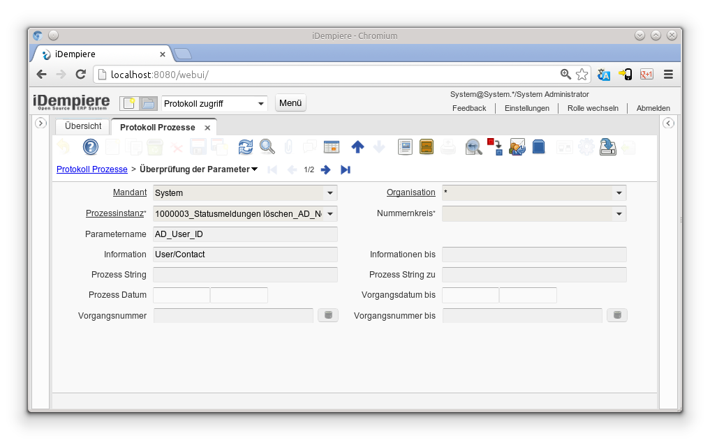 Protokoll Prozesse - Überprüfung der Parameter - Fenster (iDempiere 1.0.0).png