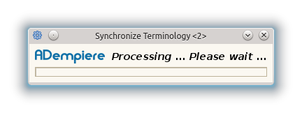 Synchronize Terminology - Processing - Process (iDempiere 1.0.0).png