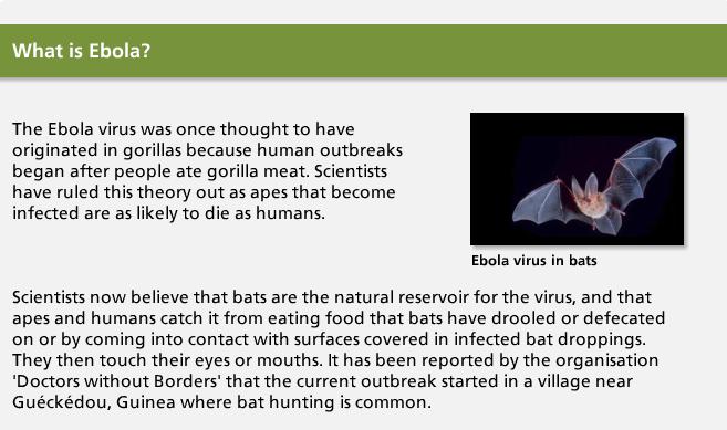 More on what is ebola.jpg